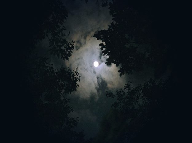 1차 필기시험 과목