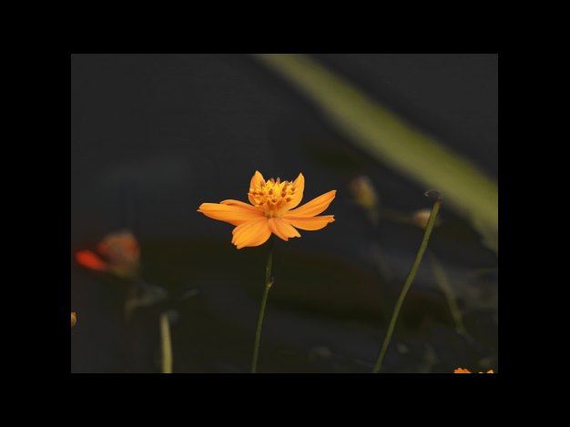 요구하는 부동산 정보 입력