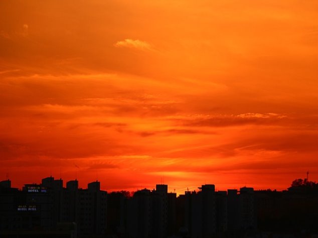 기준금리 비교