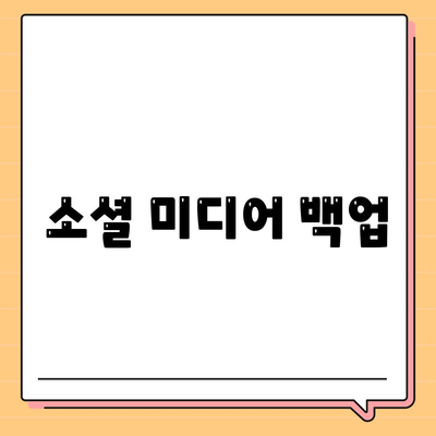 소셜 미디어 백업
