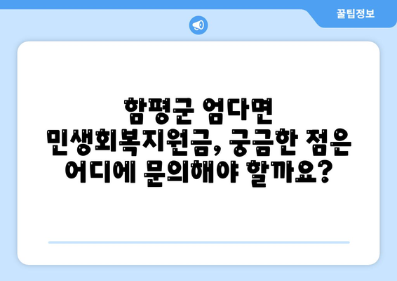 전라남도 함평군 엄다면 민생회복지원금 | 신청 | 신청방법 | 대상 | 지급일 | 사용처 | 전국민 | 이재명 | 2024