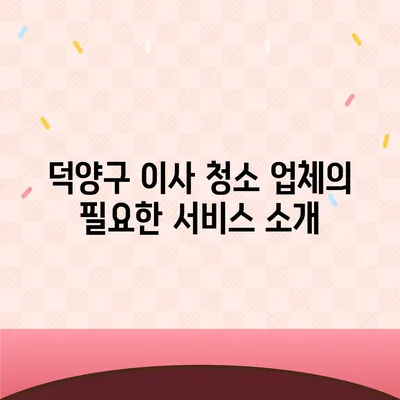 성실한 덕양구 이사 청소 업체