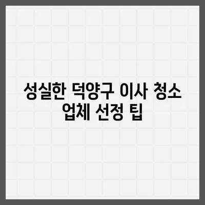 성실한 덕양구 이사 청소 업체