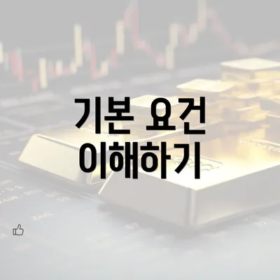 기본 요건 이해하기