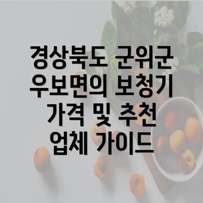 경상북도 군위군 우보면의 보청기 가격 및 추천 업체 가이드