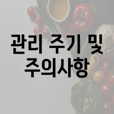 관리 주기 및 주의사항