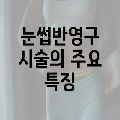 눈썹반영구 시술의 주요 특징