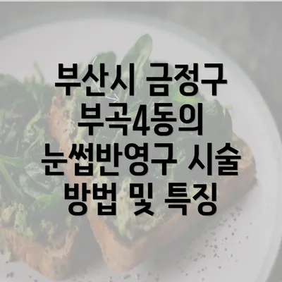 부산시 금정구 부곡4동의 눈썹반영구 시술 방법 및 특징