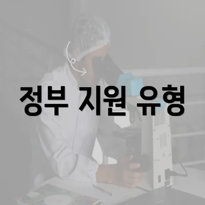 정부 지원 유형