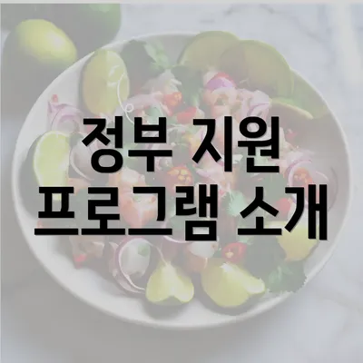 정부 지원 프로그램 소개