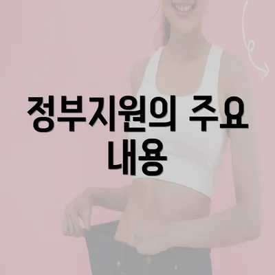 정부지원의 주요 내용