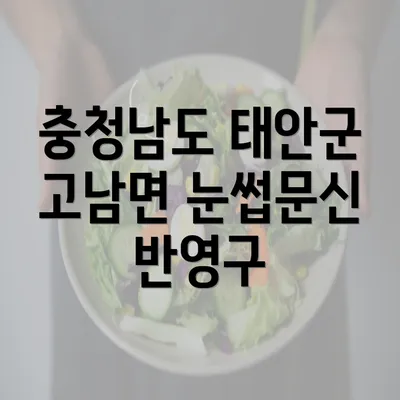 충청남도 태안군 고남면 눈썹문신 반영구