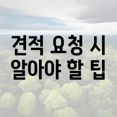견적 요청 시 알아야 할 팁