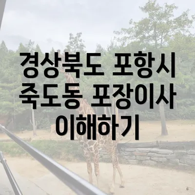 경상북도 포항시 죽도동 포장이사 이해하기