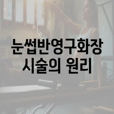 눈썹반영구화장 시술의 원리