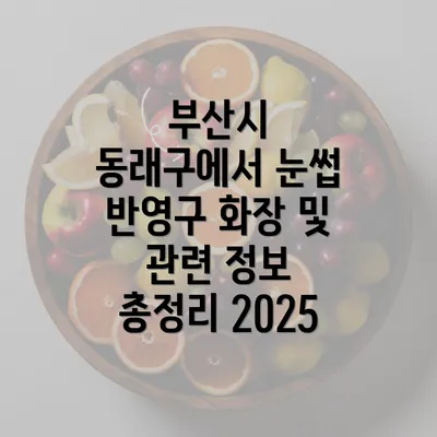 부산시 동래구에서 눈썹 반영구 화장 및 관련 정보 총정리 2025