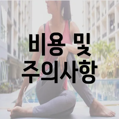 비용 및 주의사항