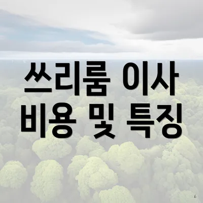 쓰리룸 이사 비용 및 특징