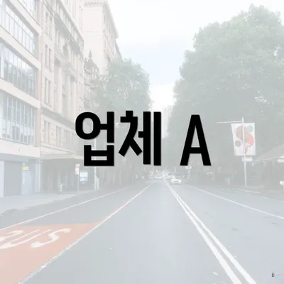 업체 A