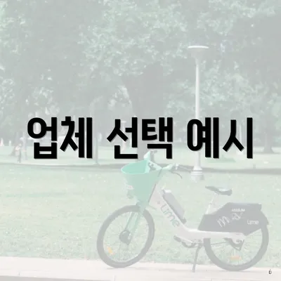 업체 선택 예시