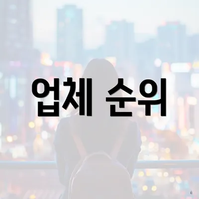 업체 순위
