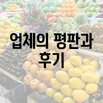 업체의 평판과 후기