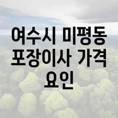 여수시 미평동 포장이사 가격 요인