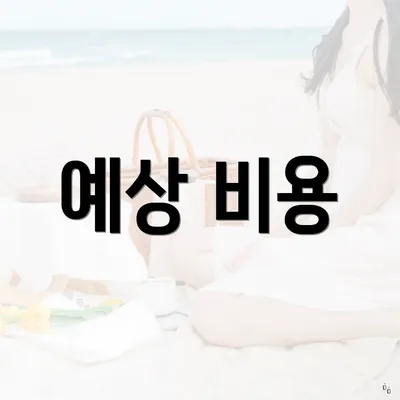 예상 비용