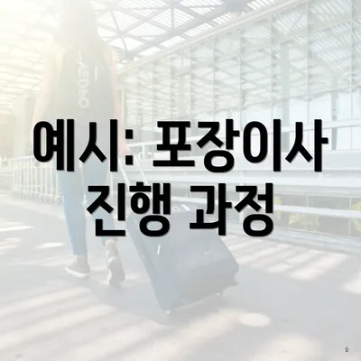 예시: 포장이사 진행 과정