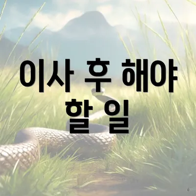 이사 후 해야 할 일