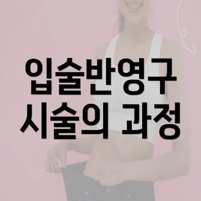 입술반영구 시술의 과정