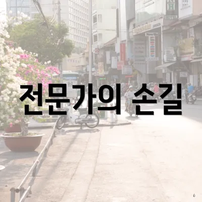 전문가의 손길