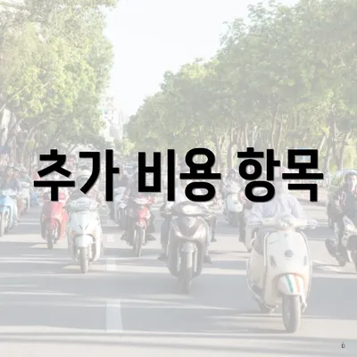 추가 비용 항목