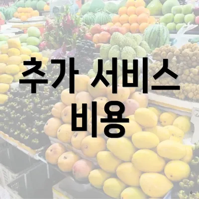 추가 서비스 비용
