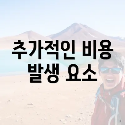 추가적인 비용 발생 요소