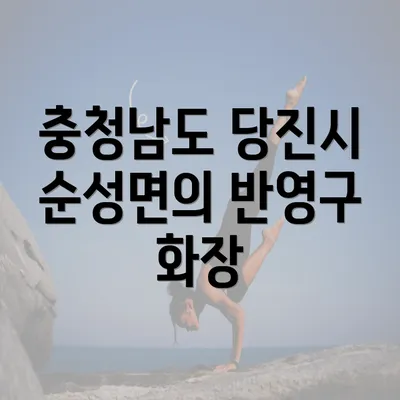 충청남도 당진시 순성면의 반영구 화장