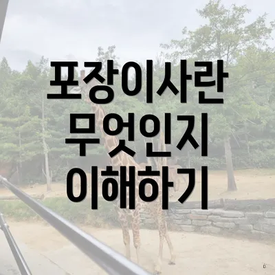 포장이사란 무엇인지 이해하기