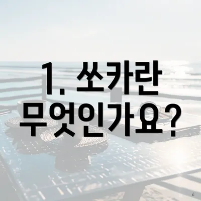 1. 쏘카란 무엇인가요?
