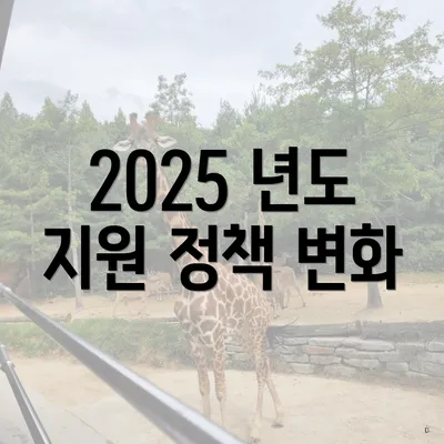 2025 년도 지원 정책 변화