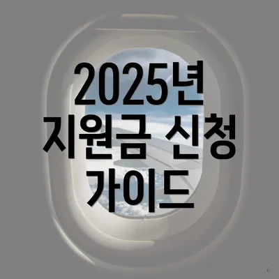 2025년 지원금 신청 가이드