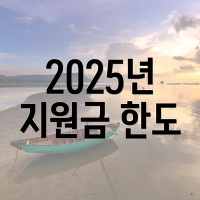 2025년 지원금 한도