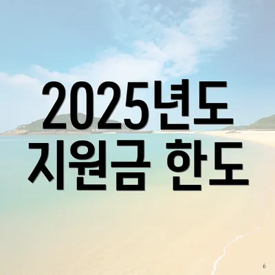 2025년도 지원금 한도