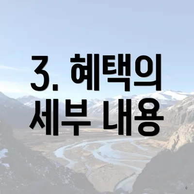 3. 혜택의 세부 내용