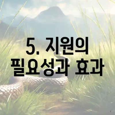 5. 지원의 필요성과 효과