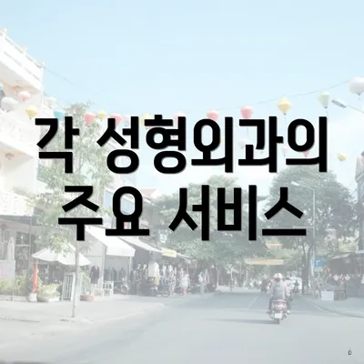 각 성형외과의 주요 서비스
