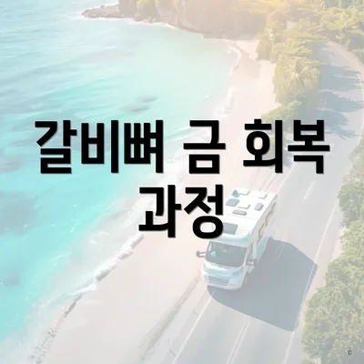 갈비뼈 금 회복 과정