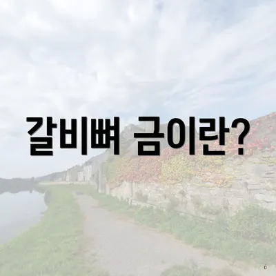 갈비뼈 금이란?