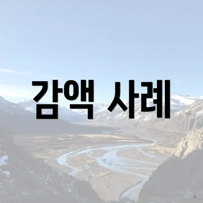 감액 사례