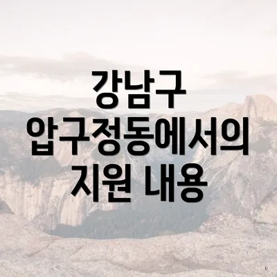 강남구 압구정동에서의 지원 내용