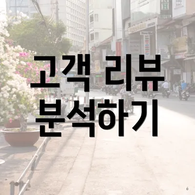 고객 리뷰 분석하기